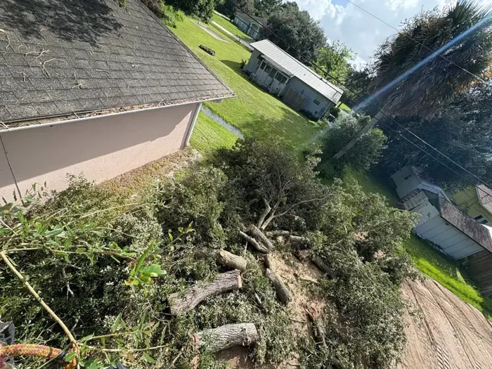 Logs and limbs lowered clear of the roof during tree removal